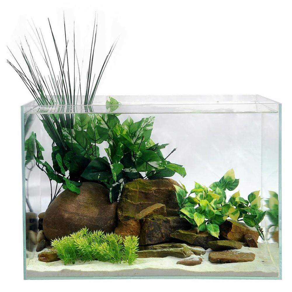 Kolibrie Marxistisch Wapenstilstand CAD Lights 5G Zen Desktop Rimless Glass Aquarium 14” x 8.25” x 9” – Dream  Fish Tanks