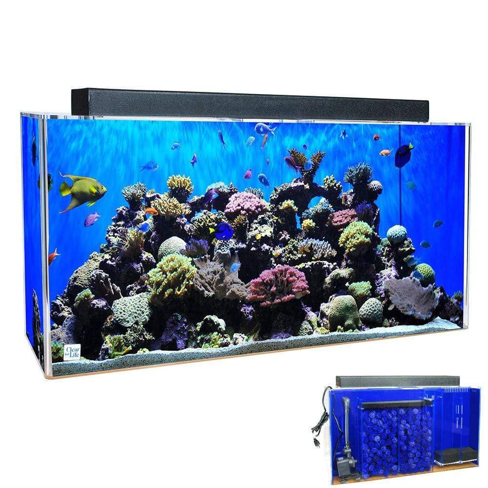 Indiener Namaak Voorkeur Clear For Life Rectangle UniQuarium 3-in-1 Acrylic Aquarium - 20-90 Ga –  Dream Fish Tanks