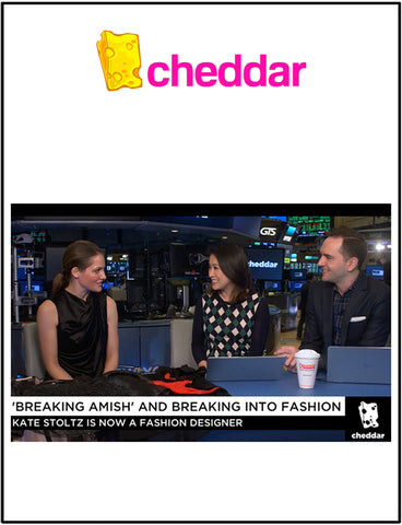 kate stoltz television interview cheddar tv 