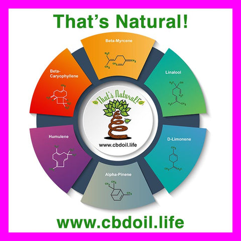 Thats Natural terpene profile, terpenes for anxiety, terpenes for sleep, hemp-derived CBD, legal hemp CBD, The That’s Natural terpene profile includes: beta-myrcene, linalool, d-limonene, alpha-pinene, humulene, beta-caryophyllene - more from Thats Natural at www.cbdoil.life, cbdoil.life, and www.thatsnatural.info and find us an our Life Force Market outside of Basalt, Colorado in the Aspen Valley next to the Willits Gas Station CBD Distillery, best-rated CBD, Alex Jones, Glenn Beck, CW Botanicals #ThatsNatural #lifeforce #cbd #cbdoil