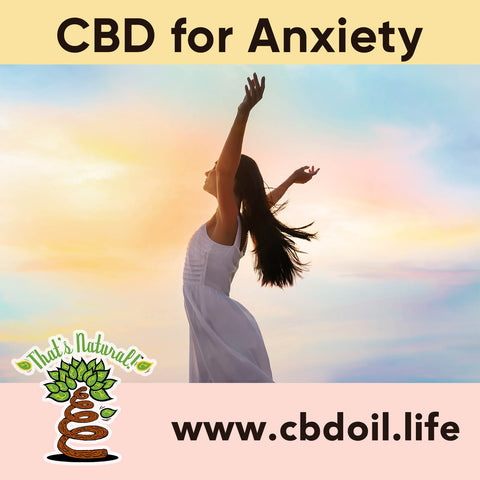 most trusted CBD, best-rated CBD, best CBD for sleep, best CBD for anxiety - CBD, CBDA, CBDA Oil, legal That’s Natural Topical Products, CBD Lotions, CBD Salves, Thats Natural full spectrum lotion - CBD Massage Oil, CBD cream, CBD creme, CBD muscle jelly, CBD salve, CBD face, CBD face and eye creme - hemp-derived CBD, legal in all 50 States at cbdoil.life and www.cbdoil.life - legal in all 50 states - Entourage Effect with Thats Natural!