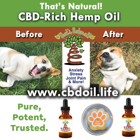 best CBD for pets, CBDA oil, CBD for pets, CBD for dogs, CBD for cats, CBD for birds, hemp-derived CBD, Thats Natural topical CBD products, create Life Force with biodynamic Colorado hemp - That’s Natural CBD Oil from hemp - whole plant full spectrum cannabinoids and terpenes legal in all 50 States, CBD oil drops for dogs - www.cbdoil.life, cbdoil.life, www.thatsnatural.info, thatsnatural.info