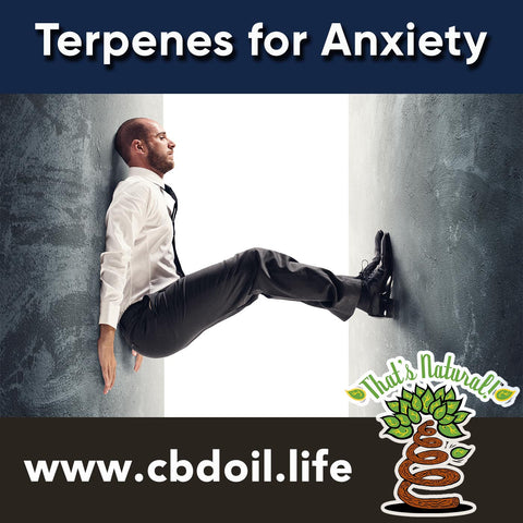 terpenes for anxiety, complete natural terpene profile, hemp-derived CBD, CBDA, CBDA Oil, legal That’s Natural Topical Products, CBD Lotions, CBD Salves, Thats Natural full spectrum lotion - CBD Massage Oil, CBD cream, CBD creme, CBD muscle jelly, CBD salve, CBD face, CBD face and eye creme - hemp-derived CBD, legal in all 50 States at cbdoil.life and www.cbdoil.life - legal in all 50 states - Entourage Effect with Thats Natural!