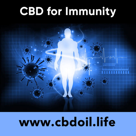 CBD for immunity, CBD for coronavirus, CBD for corona virus - legal hemp CBD, CBDA oil, hemp-derived CBD from That's Natural at cbdoil.life and www.cbdoil.life - Thats Natural Entourage Effect, CBD creme, CBD cream, CBD lotion, CBD massage oil, CBD face, CBD muscle rub, CBD muscle jelly, topical CBD products, full spectrum topical CBD products, CBD salve, CBD balm - legal in all 50 States  www.thatsnatural.info, best rated CBD, CBD Distillery, Dr. Axe CBD, Alex Jones CBD, Washington’s Reserve, CW Botanicals, CBD Distillery - Choose the most premium CBD with testimonials - Entourage Effect with Thats Natural