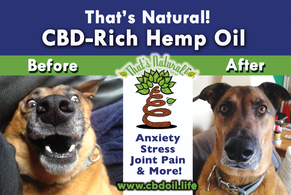 CBD for Pets - Is CBD safe for Pets?  Full spectrum CBD-rich hemp oil from That's Natural at www.cbdoil.life