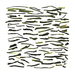 Sencha Kagoshima - Green