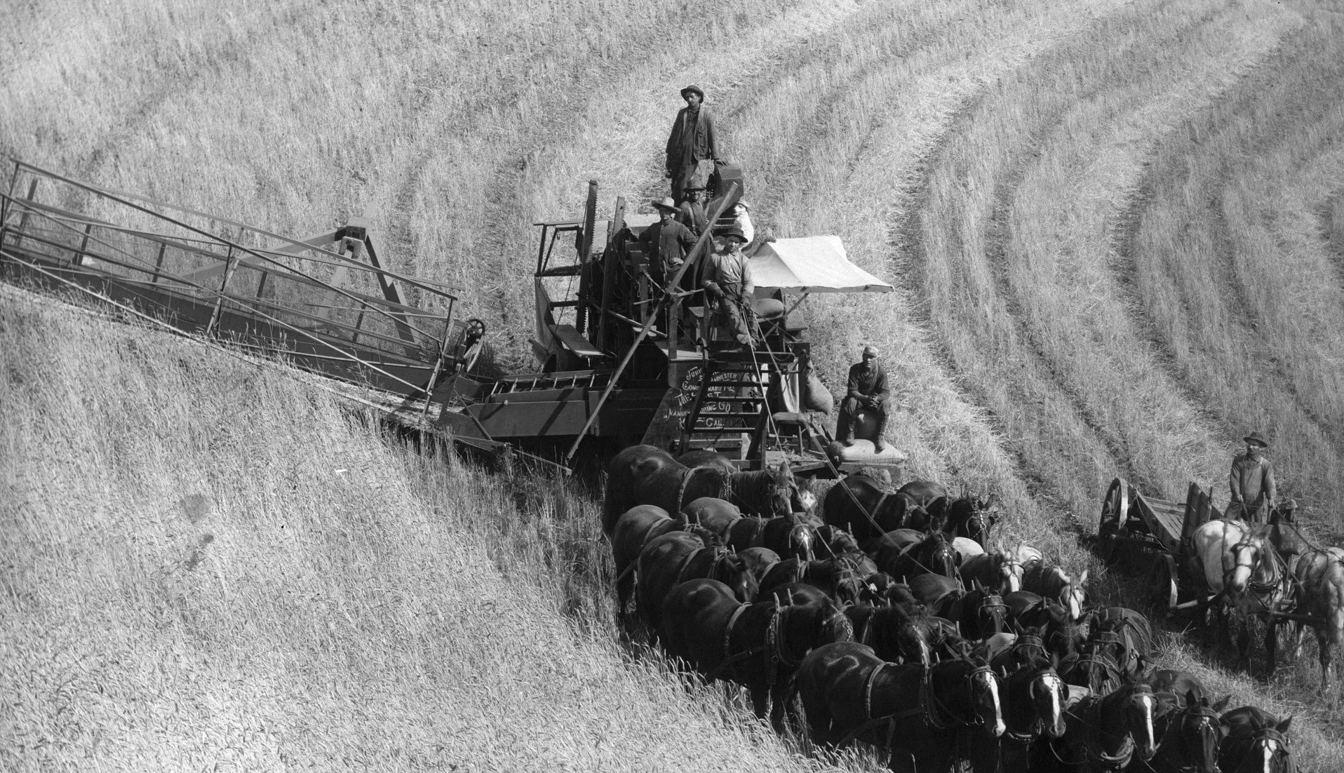 Black and white photo of wheat farming on the Palouse