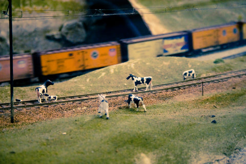 model railroad scene