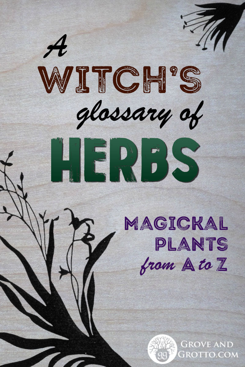 spiritual-meaning-of-herbs