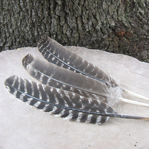 Turkey wing feathers for smudging