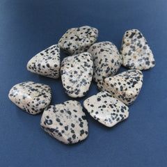 Dalmatian stone