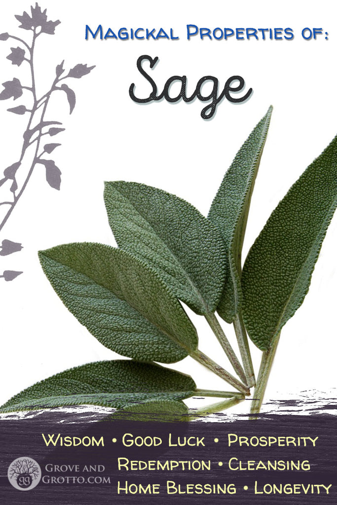 Magickal properties of Sage