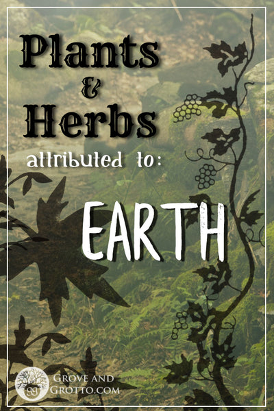 Earth plants and herbs