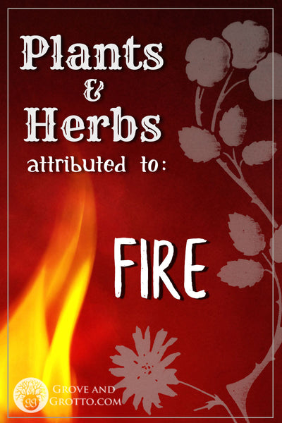 Plants and herbs of Fire