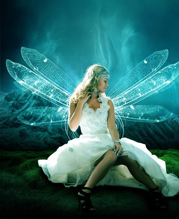 Make a wish and dream up the perfect faery costume.