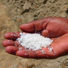 Handful of sea salt