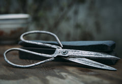 Silver scissors
