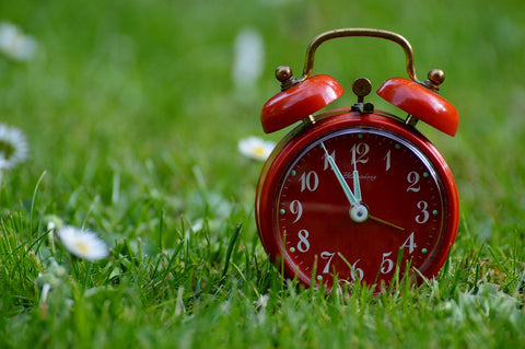 Red alarm clock in a field