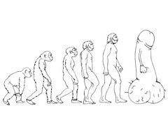 eat a bag of dicks coloring book evolution of man