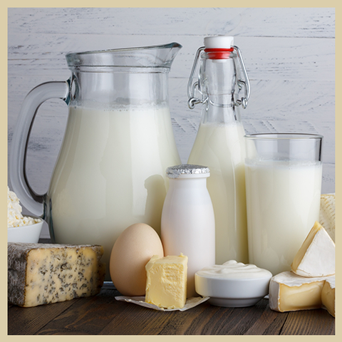 Dairy