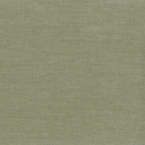 Remnant of Samba Otra Vez Sage Green Upholstery Fabric