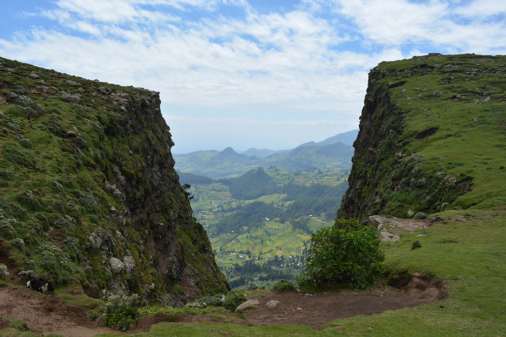 Ethiopian landscape