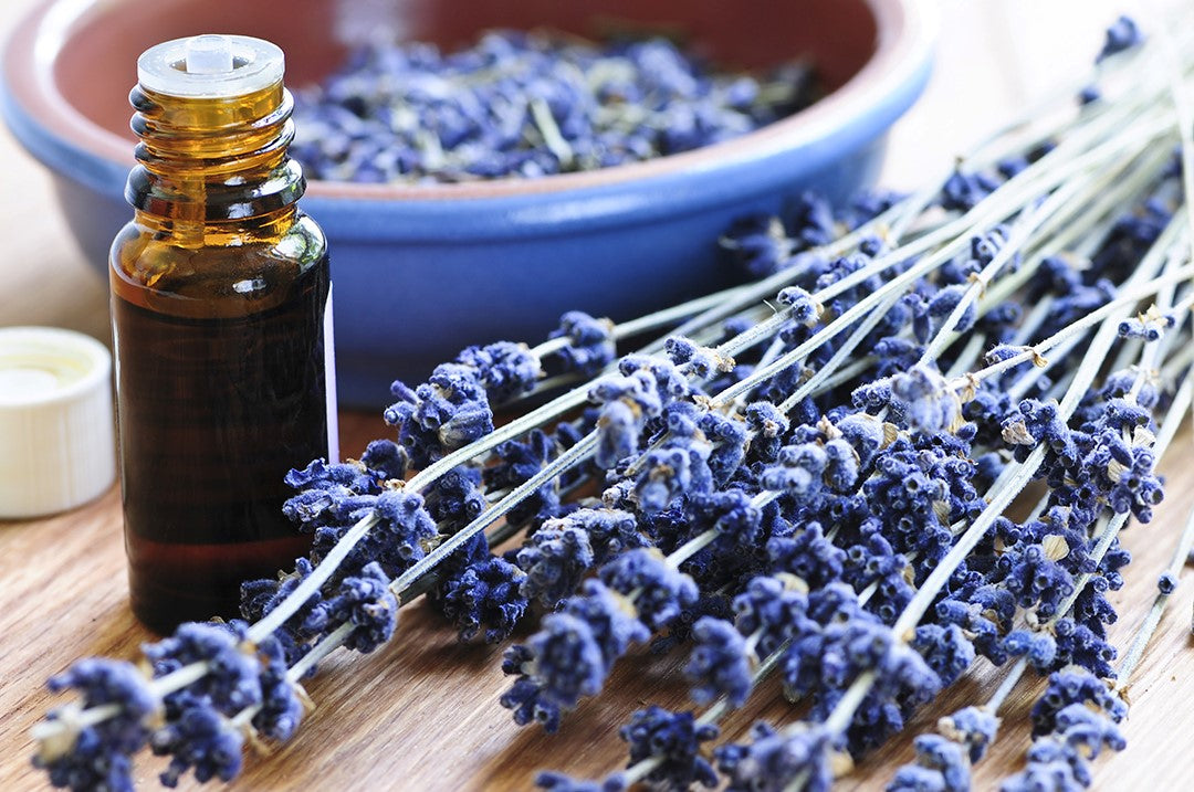 Top Ways to Use Lavender Essential Oil