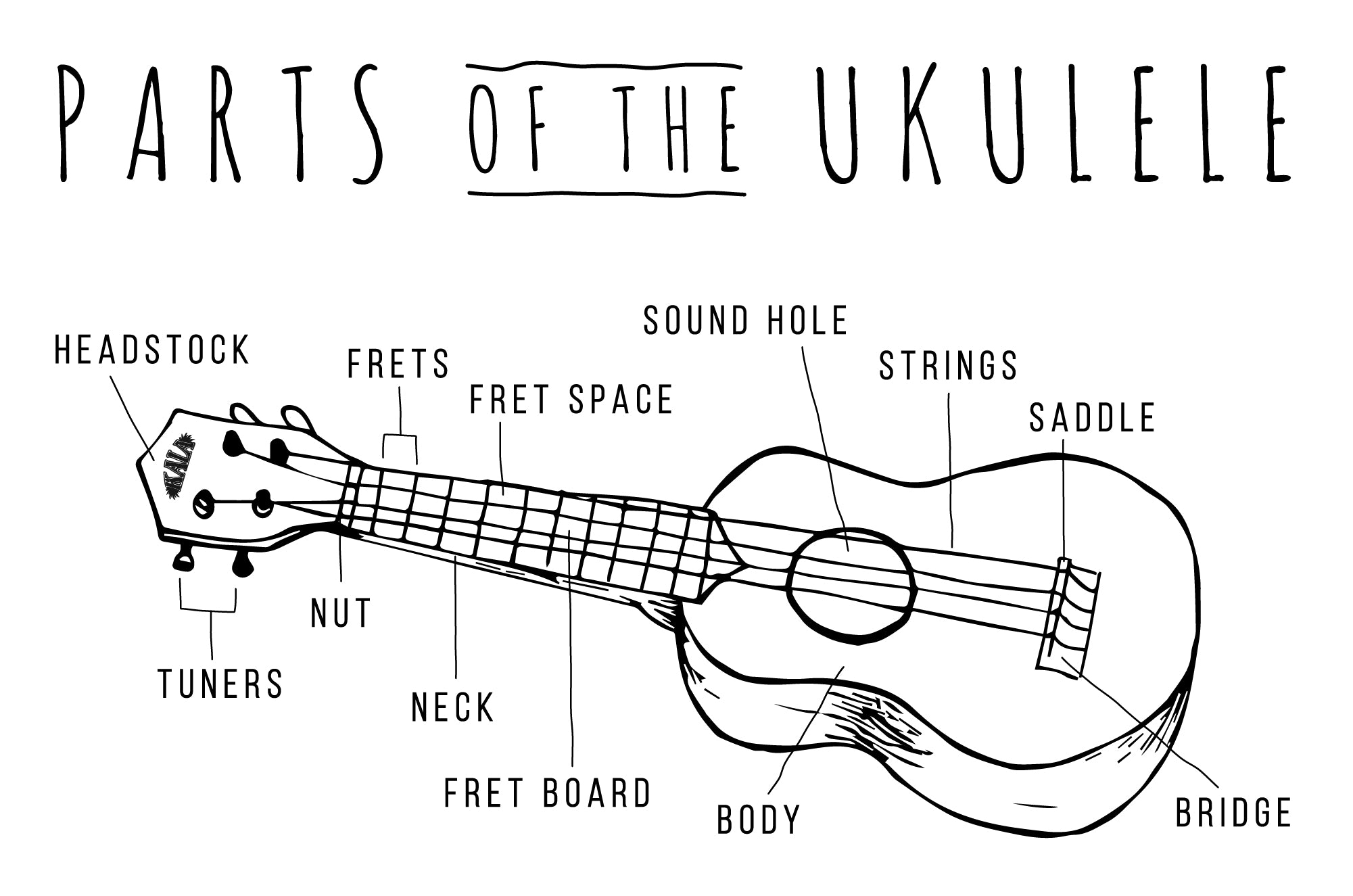 Drawn diagram of an ukulele with parts labeled including headstock, tuners, nut, neck, frets, fretboard, fret space, body, sound hole, saddle, bridge, and strings.