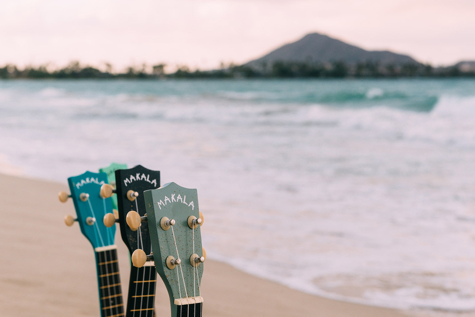 Kala Makala Shark Headstocks at the Beach