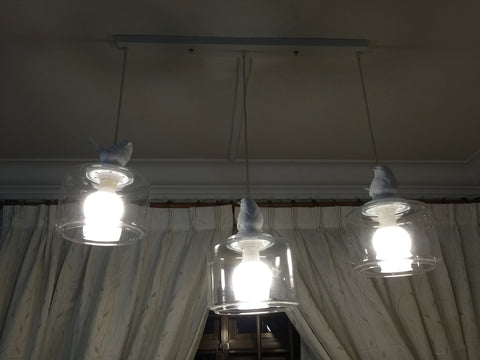 Bay Bird Glass Pendant Lighting Singapore