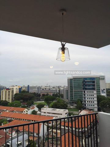 Lighting Singapore - BAY Duck on Glass Pendant Light for Balcony