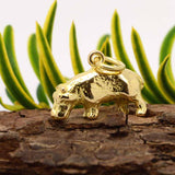 Gold-hippo-charm