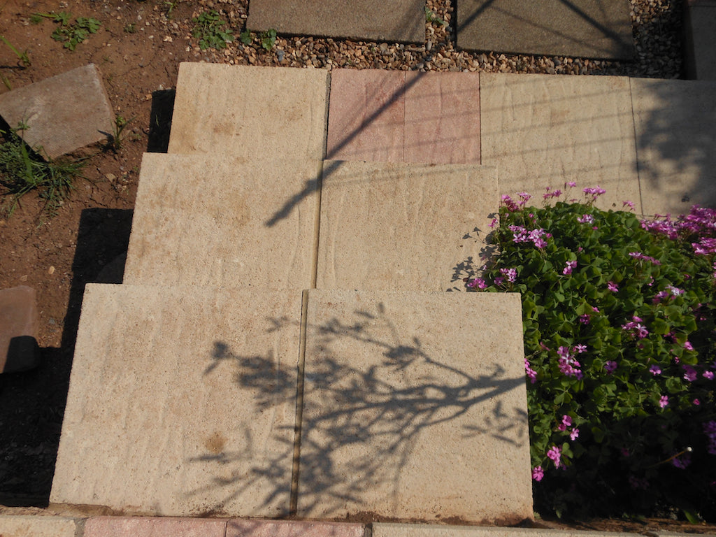 Concrete slabs with black spots, black lichen dots, and black algae removed