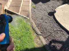 Drenching grass with water prior to softwashing paths, drives and patios