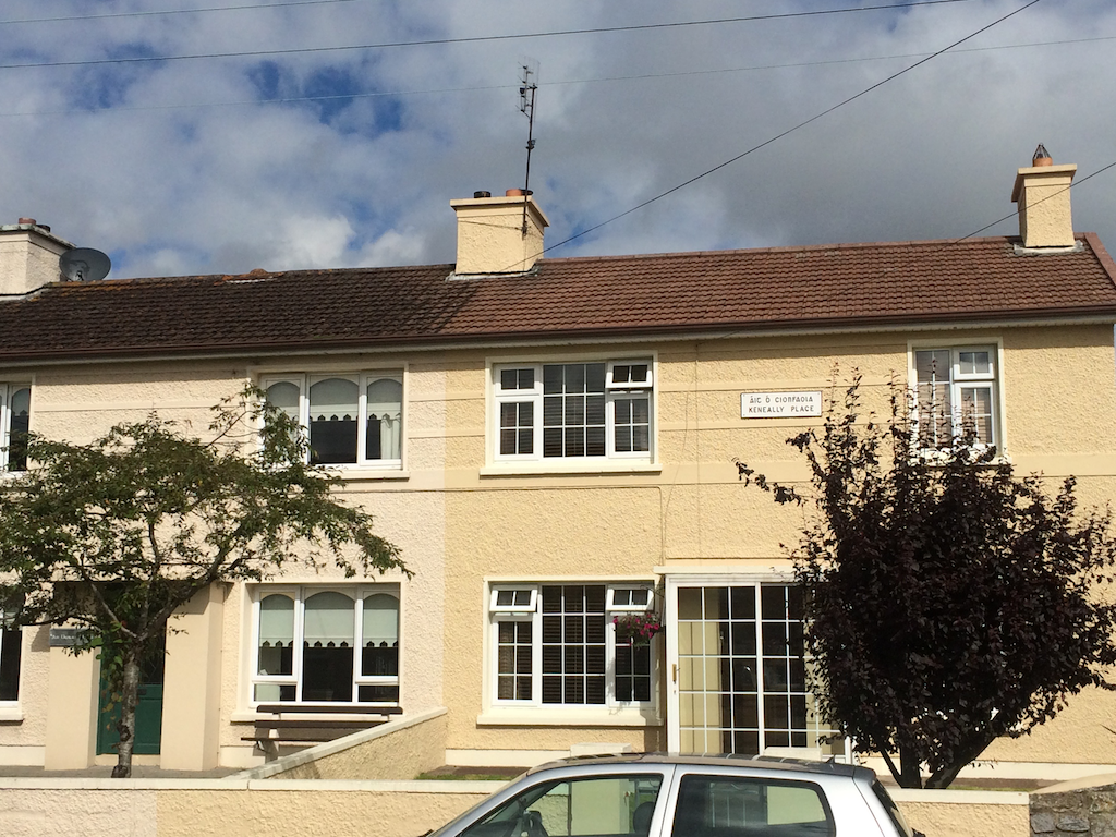 Cleaning a roof using soft washing with Benz Blackwash