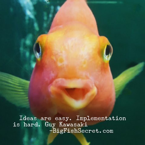 Ideas are easy, implementation hard - BigFishSecret.com