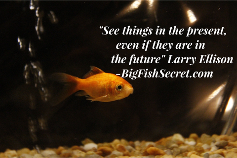 bigfishsecret.com - See things in the present even if they are in the future