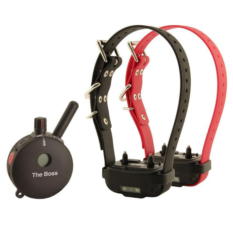 Collartron - Training Collars for Dogs, Bark Control ...