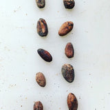 Cacao for Analysis