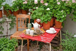 small patio gardens