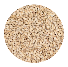 Golden Promise - Bairds (per lb)