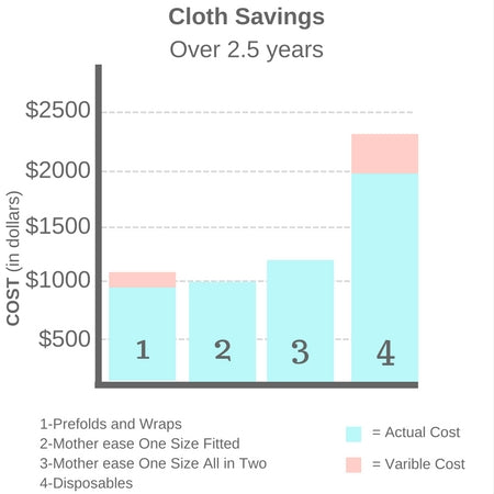 Cloth Savings over 2 1/2 years