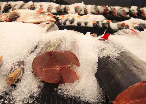 fresh ahi on ice at honolulu fish market