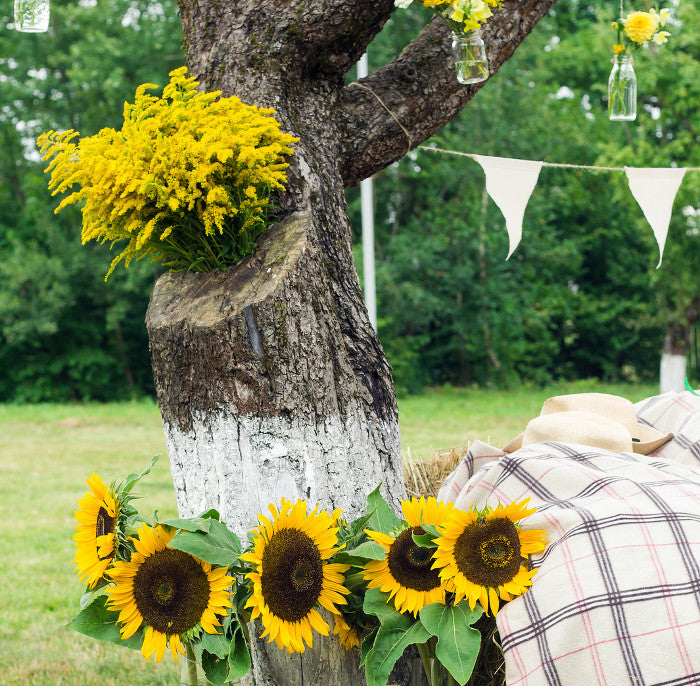 Sunflower Buffet