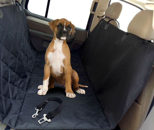 heavy duty dog seat belt