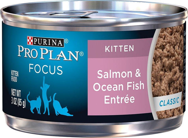 pro plan kitten salmon