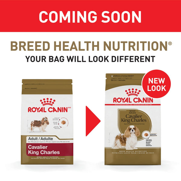 royal canin cavalier king charles adult