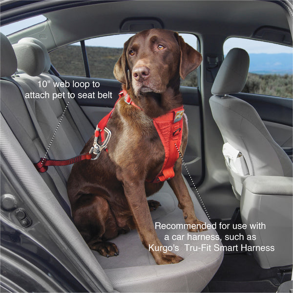 kurgo car harness