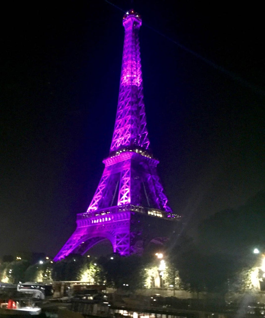 Paris by Boat Eiffel Tower