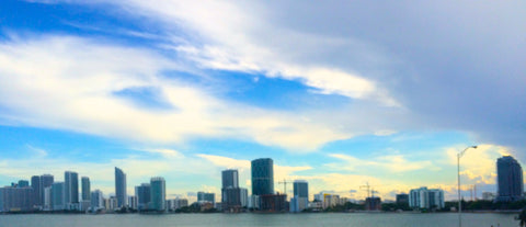 Miami Skyline 